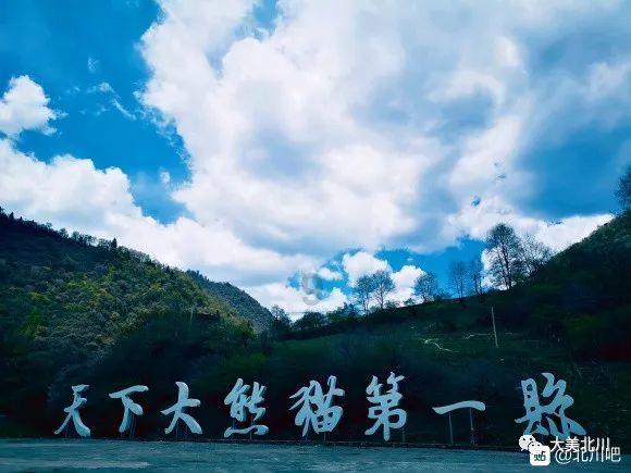 工作中,遇到奇葩主管怎么办?-优酷